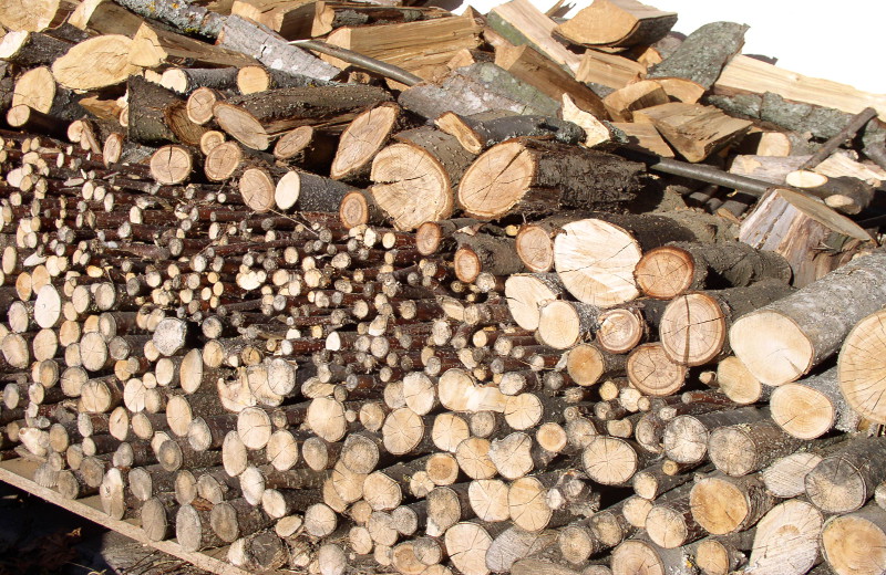 Contributo sostituzione vecchi impianti termici a legna sopra 35 kW