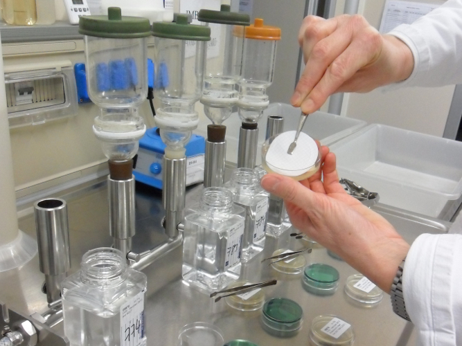 Übertragung des Membranfilters auf den Selektivnährboden in der Petrischale (Foto: Landesagentur für Umwelt, 2015)