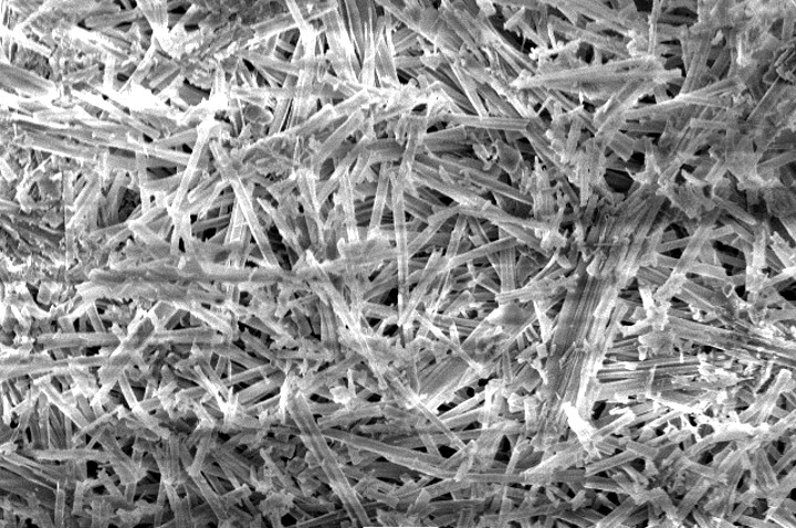 Aufnahme Rasterelektronenmikroskop, Oberfläche der weiß verfärbten Steine, 600 fache Vergrößerung (Foto: Landesagentur für Umwelt und Klimaschutz)