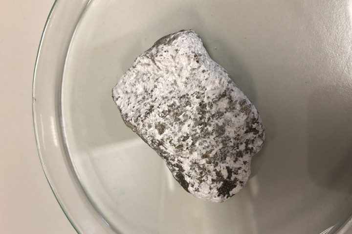 Stein vom Ufer des Vernagter Stausees mit weißer Ablagerung (Foto: Landesagentur für Umwelt und Klimaschutz)
