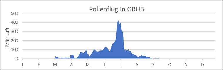 Pollenflug in Grub/Langtaufers. Der Pollenflug erfolgt in Grub vorwiegend von Mitte-Ende April bis Juli. (Quelle: Landesagentur für Umwelt und Klimaschutz)