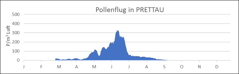 Pollenflug in Prettau. Der Pollenflug erfolgt in Prettau vorwiegend von Ende April bis Juni.(Quelle: Landesagentur für Umwelt und Klimaschutz)