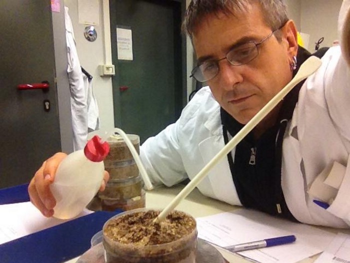 Radioaktivität: Vorbereitung einer Probe für die gammaspektrometrische Analyse (Foto: Landesagentur für Umwelt, C. Amadori, 2014)