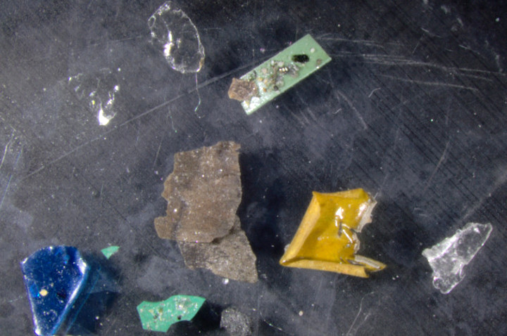Foto 4: „Large Microplastic“-Fragmente (Foto: Landesagentur für Umwelt und Klimaschutz, M. Casera) 