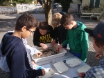 Beim Projekt "WasserLeben" können Schüler die Tierwelt in Südtirols Gewässern erkunden./Foto Landesagentur für Umwelt