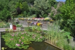 An die 200 Balkonpflanzen können am 12. und 13. Juli in der Gärtnerei der Laimburg besichtigt und bewertet werden.