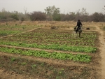 Weltbodentag am 5. Dezember: Beispiel von Bodenschutz in Burkina Faso/Westafrika.